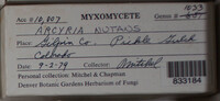 Image Associated With the Occurence